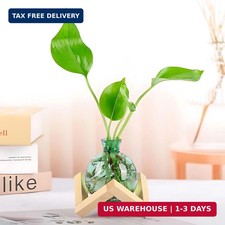 Cute Plant Propagation Station Glass Bulb Water Vases Green Office Decor