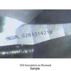 Foto 19 di 20