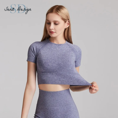 Women Seamless Yoga T-Shirt Fitness Crop Top Gym Workout Short Sleeve Shirt