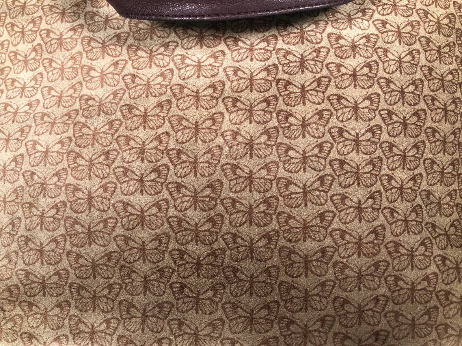 Picture 4 of 11