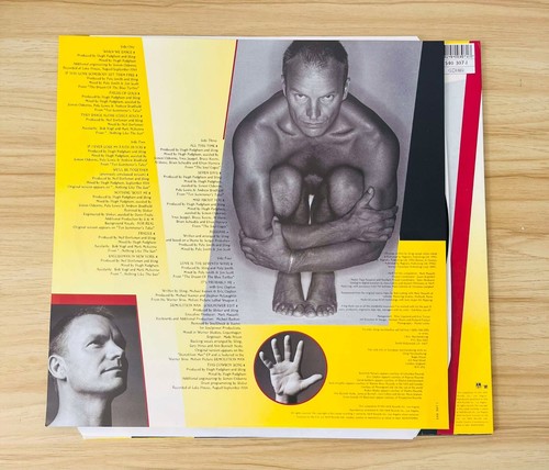Sting / Fields Of Gold The Best Of Sting 1984 - 1994 UK Original 2LP 5403071 - Picture 5 of 10