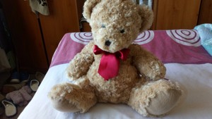 matalan teddy bear