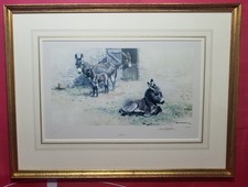 David Shepherd Donkeys Limited Edition Signed Print 66/850 Size 63x48cm Framed 