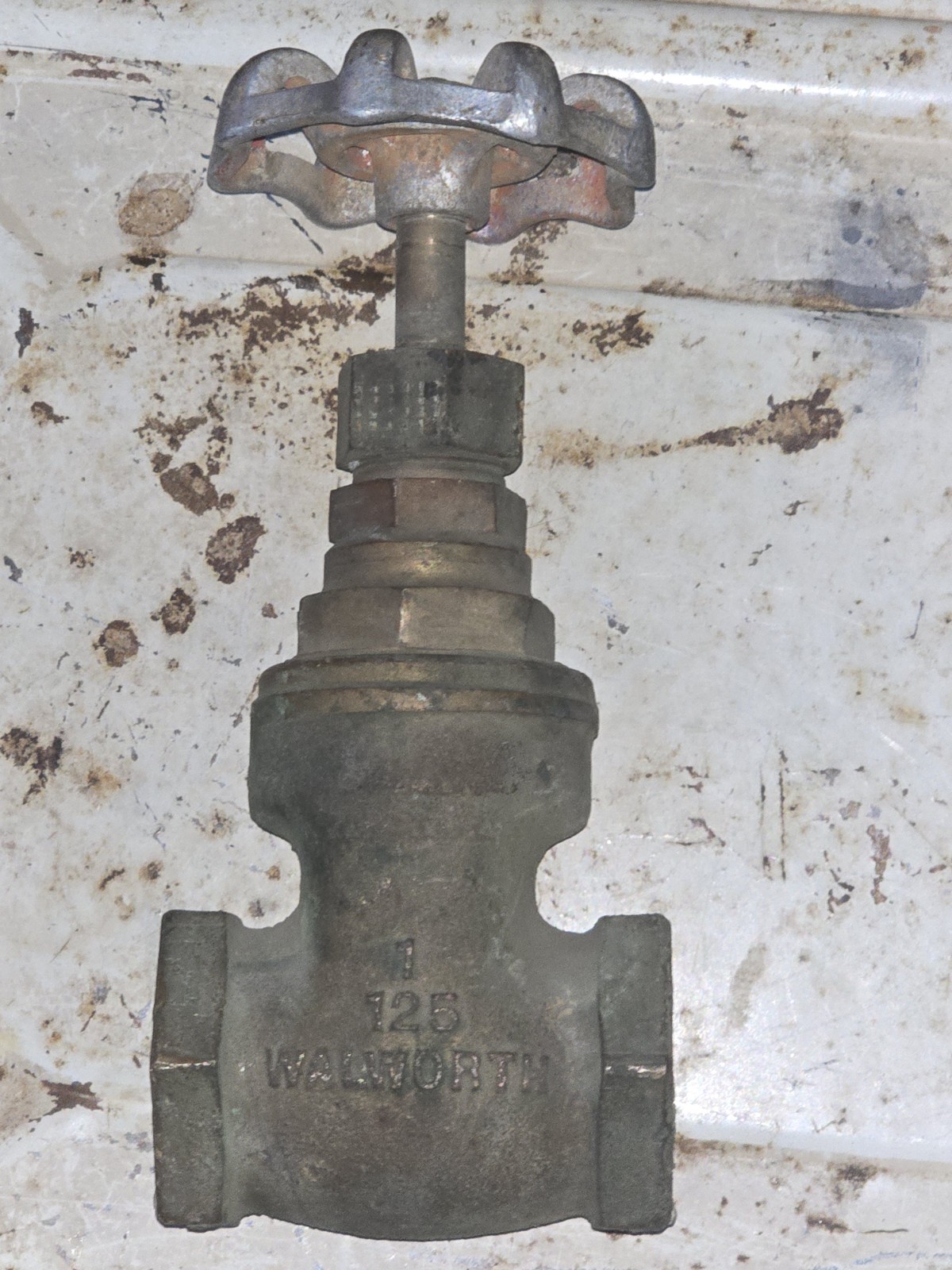 WALWORTH 125 Gate Valve 1 inch   Vintage Bronze / Brass
