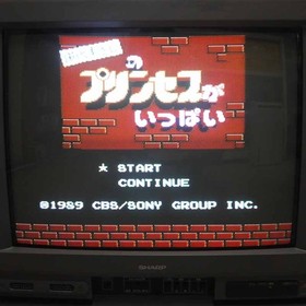 Used Masashi Tashiro S Princess Full Famicom Software Retro FV373