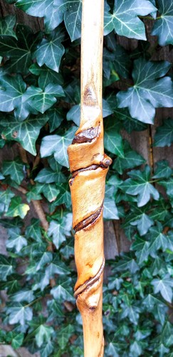 20" - Hand Carved - Spiral Maple Wood - Wand - Wizard - Witch - Wiccan - Pagan V - Picture 11 of 17