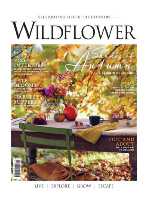 WILDFLOWER MAGAZINE | AUTUMN 2023 ISS 15 | SHADES OF AUTUMN