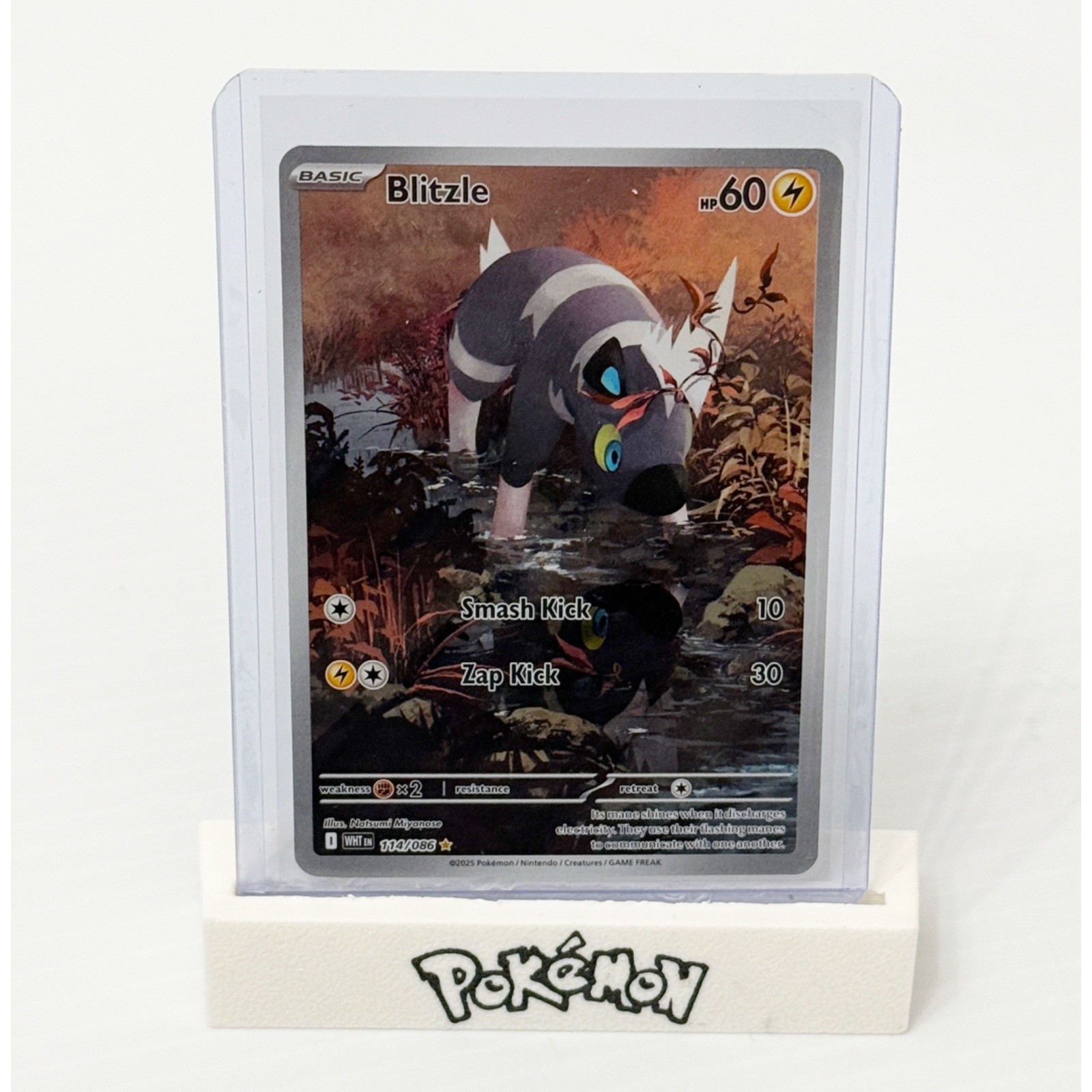 Pokemon TCG White Flare Blitzle 114/086 Illustration Rare