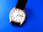 Seiko Watch Men's Automatic 7009-8219 Gold tone 17 Jewel