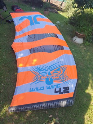 JN Wild Wing 4.2m 2023er Muster
