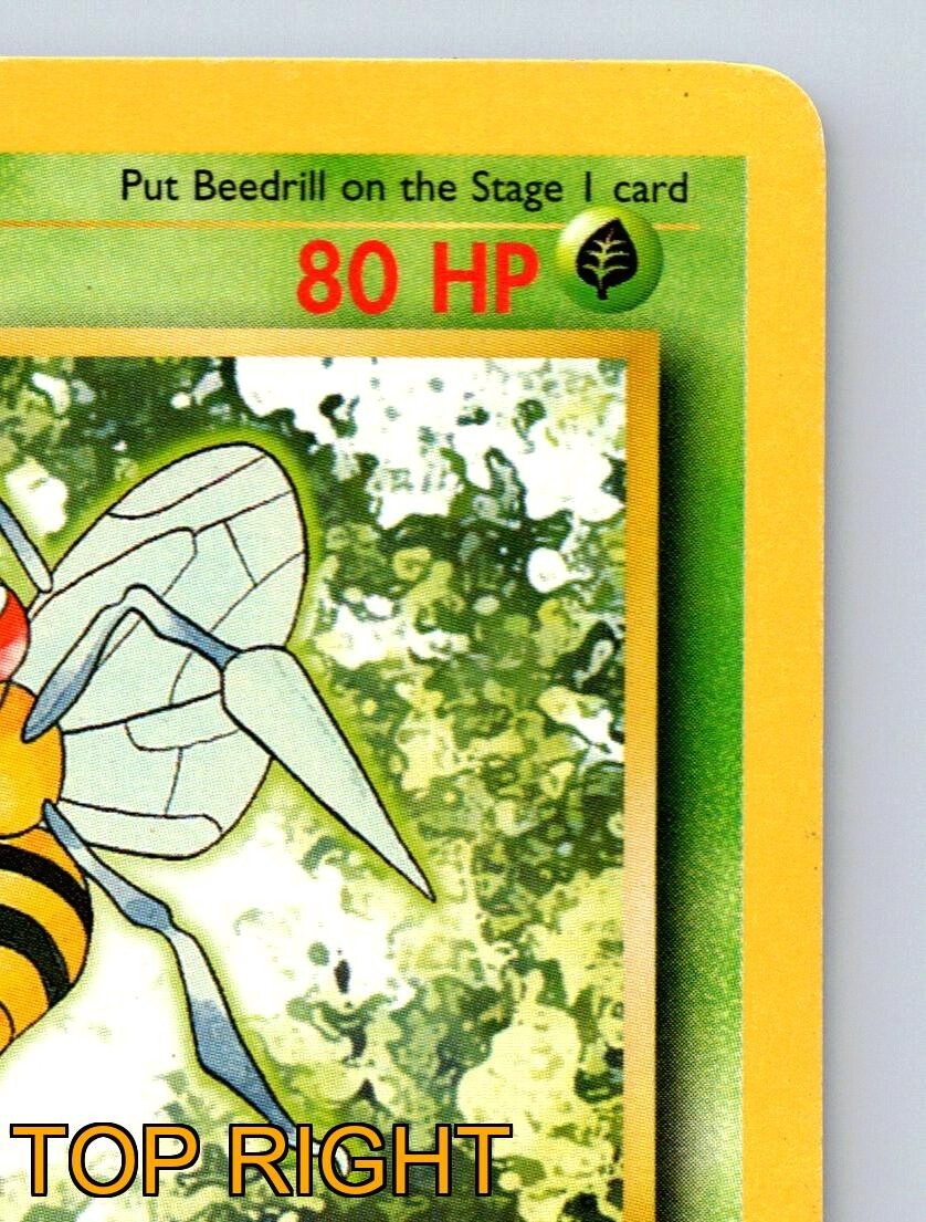 Beedrill HP 80 Twineedle Poison Sting Rarity Green Pokémon Card | eBay