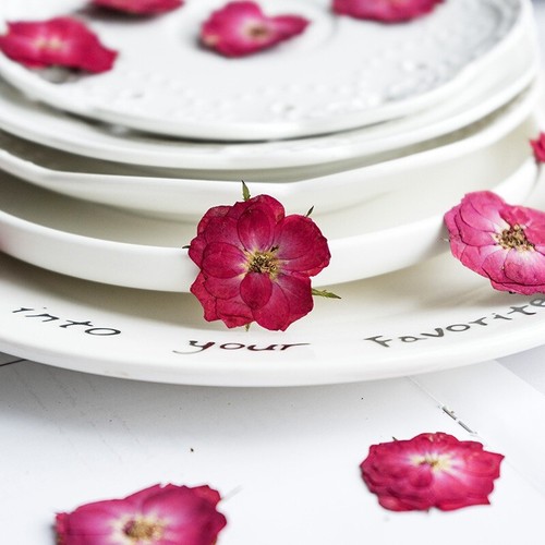 12pcs Dried Flowers Specimen Rose Flower Decors DIY Mobile Phone Case Materials - Picture 3 of 19