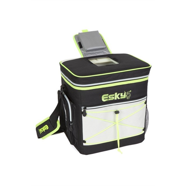 esky 16 can hybrid cooler with ice brick