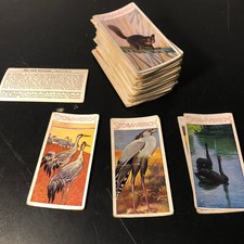 179 Stollwerck Sammelbildchen - Album N.2 "aus dem Tierreich",  Antik