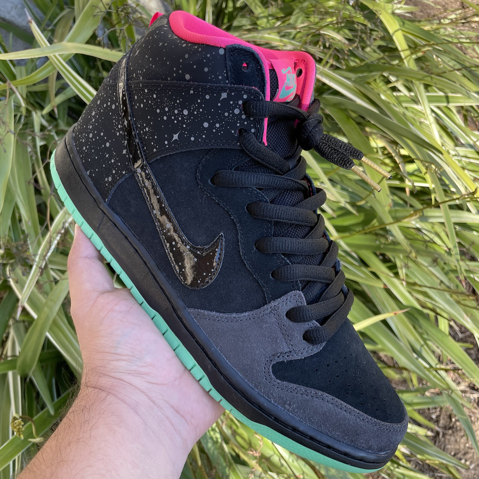 dunk high premium sb northern lights