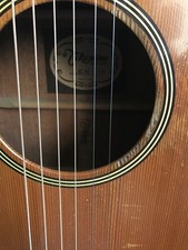 Takamine EN-10  mit Case