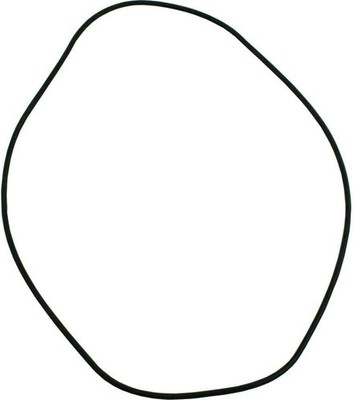 Compatible Hayward HAXHOR1930 Header O-Ring H-Series Ed1 and Ed2 Pool Heaters