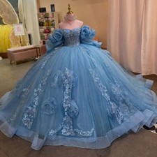 Luxury Princess Quinceanera Dress Ball Gown 3D Floral Applique Sweet 16 15 Anos
