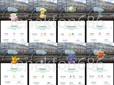 Shiny Pok mon Transinne Belgium Background - GO Read Description