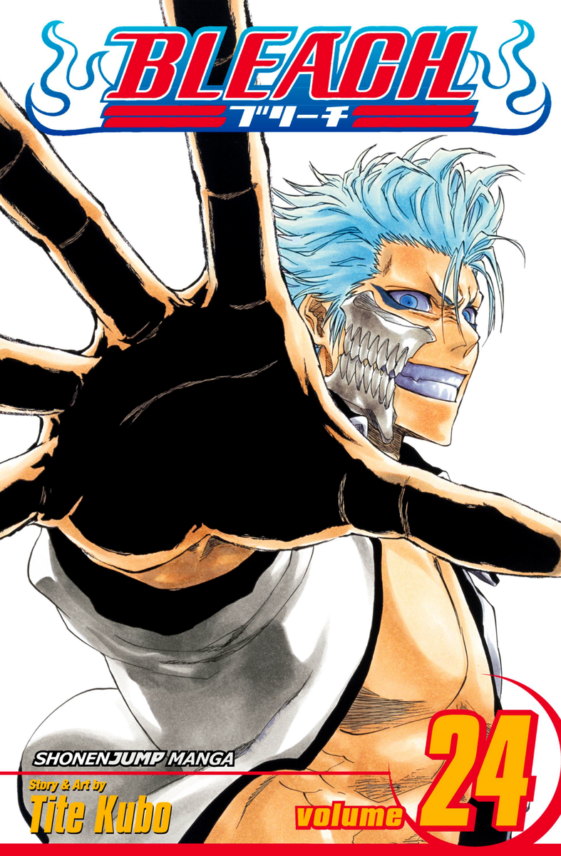 Bleach Vol 24 Cover Art - 11x17