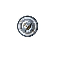 Thermostat Mercedes 280