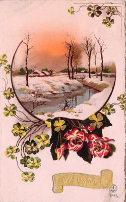 FAMILIENGESCHICHTE - POSTKARTE - PICKARD - KNOTTINGLEY BANKS LANE SUNNY MEAD