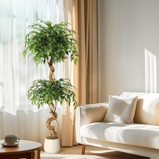 5/6FT Artificial Ficus Tree with White Planter,Realistic Faux Silk Indoor Outdoo
