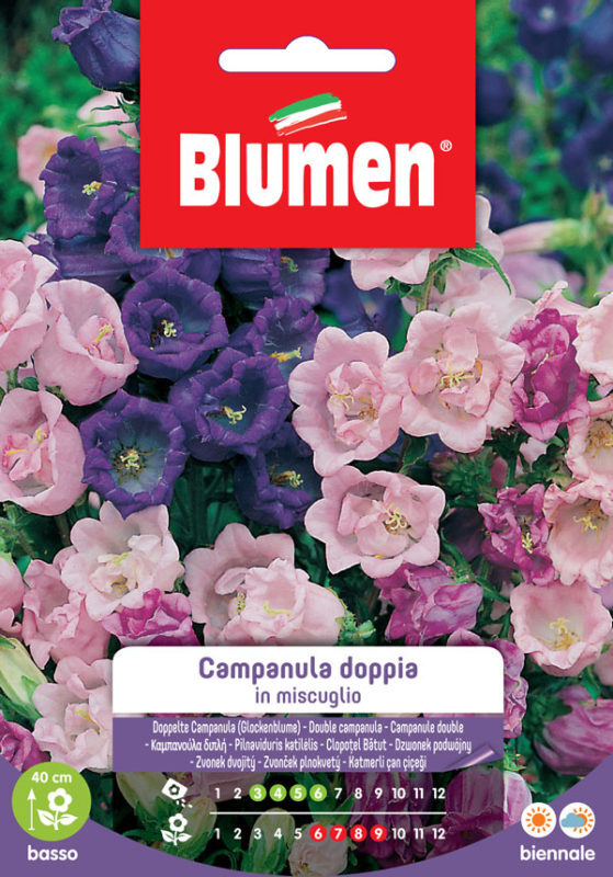 Blumen. Semi di Campanula doppia in miscuglio