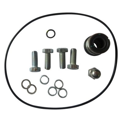 DAYTON GGS_103721 Pump Repair Kit 800VX8