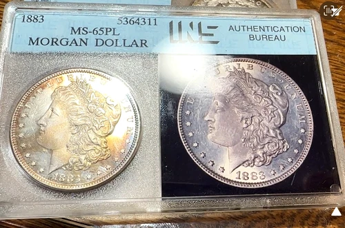 1883 Morgan Dollar Super Nice Original Borderline Gem BU PL CHRC