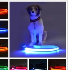 1FT GLOW LED rechargeable 3FT Nylon CAMO LEASH metal clip on pet dog walk light