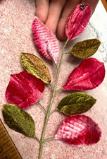 vintage 1940s millinery velvet leaves romance 1 spray made in Japan