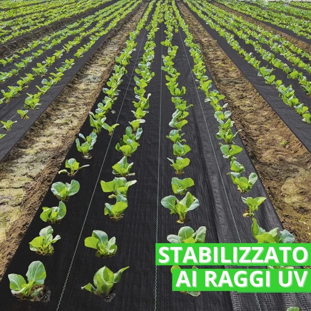 Telo Pacciamatura Nero 100gr/mq - 105cm X 100m Anti Erbacce Per Orto E Giardino - Foto 2