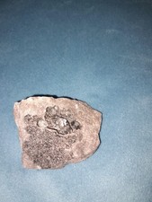 Herkimer Diamant (Quarz) in Matrix Größe s. Bilder 