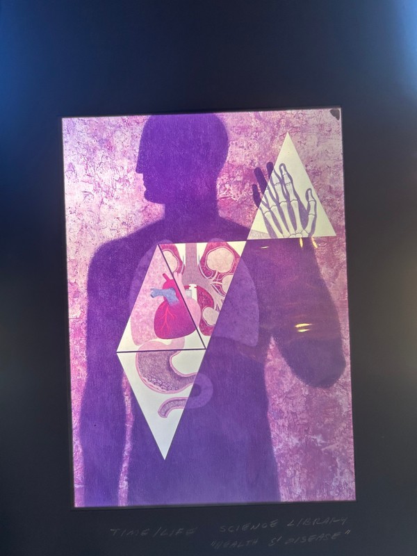 Joseph Lombardero Signed book cover art acrylic painting Image transparency #25