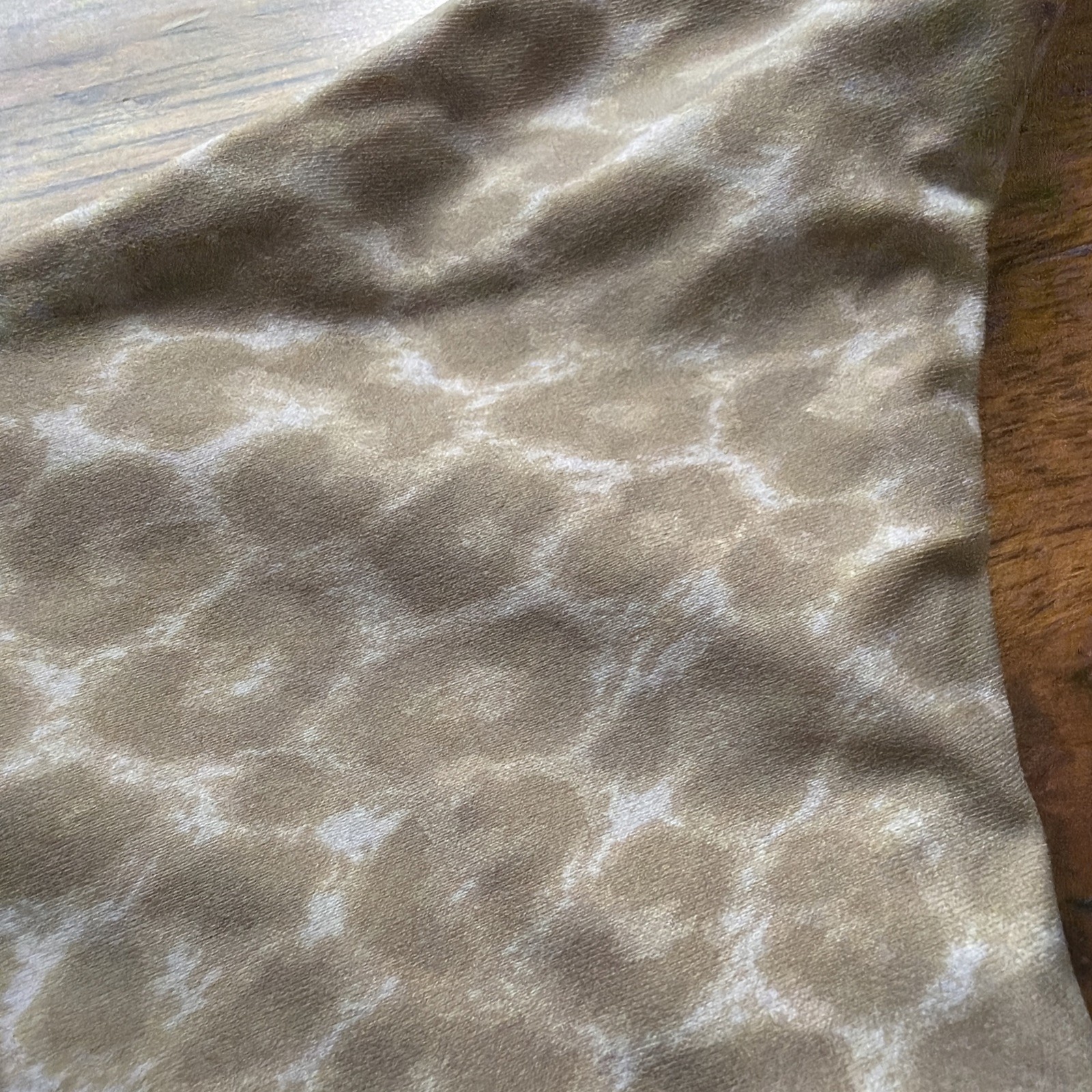 Acacia Swimwear L Bikini Bottoms Bobbi Cheeky Sahara Leopard Large Swim Neutral