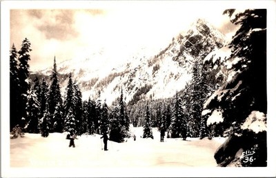 Snoqualmie Pass Washington Cross Country Skiers Cascade Mtns RPPC Postcard 32750