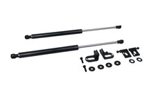 P2M Phase 2 CARBON Series Hood Bonnet Dampers Set Lancer Evolution EVO X 10 New