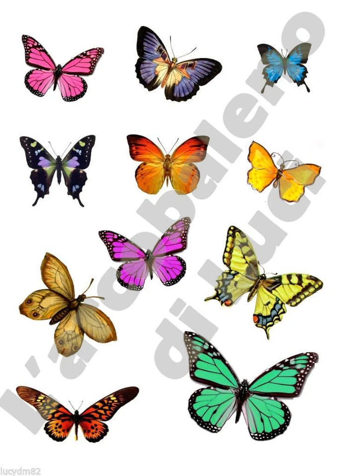 11 ADESIVI WINDOW STICKERS FINESTRA BIMBI FINESTRE VETRI FARFALLE BUTTERFLIES!