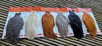 #ad *SALE* 1000pc Natural 3 6quot; Loose CAPE Feathers Whiting Farms saltwater flies $19.99