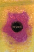 Martin Nakell | Consciousness | Taschenbuch | Englisch (2021) | Spuyten Duyvil