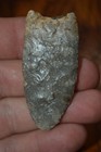 Blue Galena Chert Upper Valley Dalton Ogle Co, Illinois 2 x 1 Rare Type — photo 2