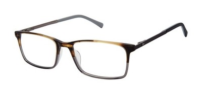 NEW Ted Baker TFM016 Eyeglasses Tortoise Grey 100% AUTHENTIC