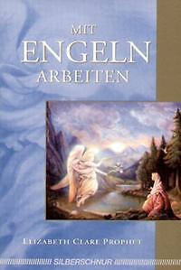Mit Engeln arbeiten | Buch | 9783898450492