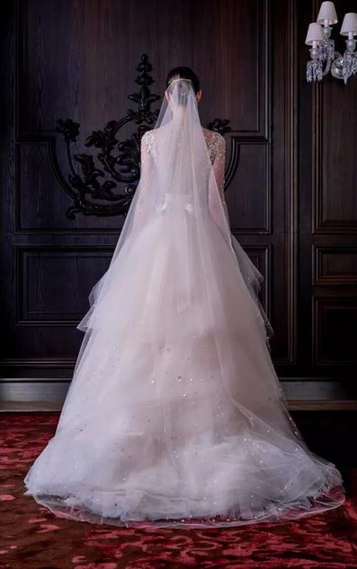 New Monique Lhuillier Platinum Collection Aviva Wedding Gown