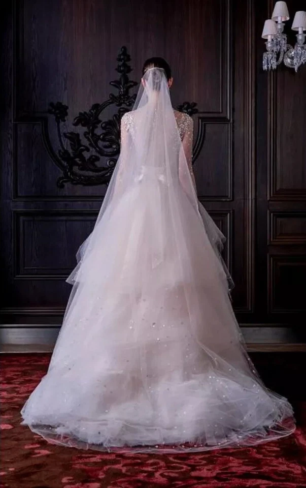 Nuevo Vestido de Boda Monique Lhuillier Colección Platino Aviva Rubor Cereza EE. UU. 8 Foto 3 de 4