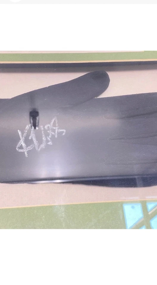Guante Kari Webb Profesional Australiano Salón de la Fama Golfista Firmado Personalmente Foto 3 de 4