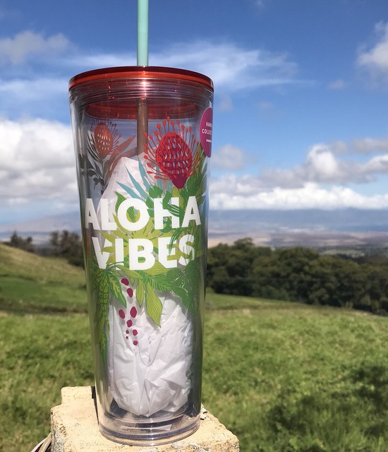 Starbucks HAWAII 🌈 ALOHA VIBES Cold Cup Tumbler NWt 2020 Gift With