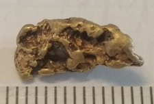 XXL Goldnugget, 13 mm Naturgold aus Kanada Yukon Gold Barren Zertifikat 65