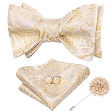 Self Tie Bow Ties and Lapel Pin for Men Paisley Solid Mens Champagne Gold